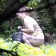 A woman shits on the ground in a secluded outdoor location and then wipes her ass. She gets the urge to poop and wipe a second time. See movies 5799, 5800 and 6009 for more in this series. Presented in 720P HD, but no audio. About 1.5 minutes.